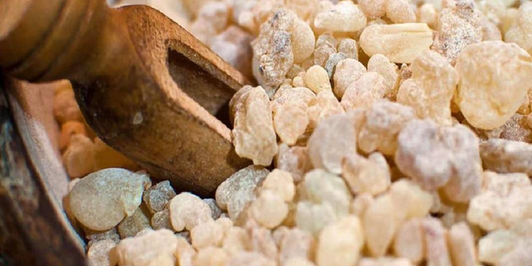 Aktarların stoklarını tüketen sakız! Zayıflamak isteyenlerin yeni trendi: Sadece çiğneyerek isteğiniz kiloya ulaşın 3